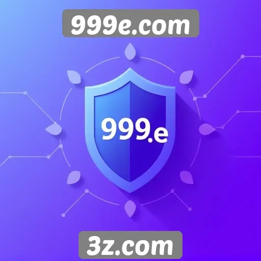 Avaliação da segurança e privacidade no 999e.com